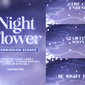 Animated Night Flower Intermission Scene - Twitch Scenes | OBS | White Glowing Flower Petals | Dreamy Aesthetic | Starting Soon | BRB | End