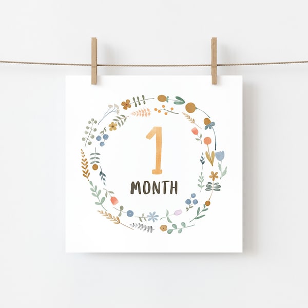Meilensteinkarten Set1-12 Monate, druckbare monatliche Meilensteinkarten, Baby-Dusche-Geschenk, Baby-Monatskarten, Aquarellkränze, DIGITAL