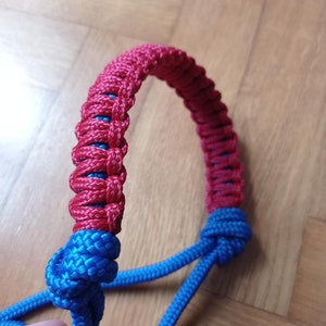 Rope halter with noseband decoration (cobra knot)/ Knotenhalfter mit Dekoration/ knotted halter with decoration