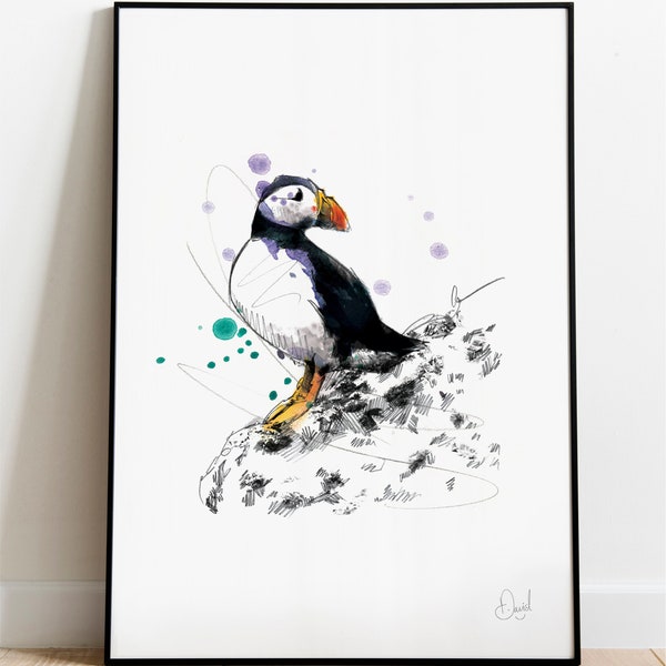 Puffin Art Print, Bird Illustration, Bird Drawing, Watercolour, Bird Poster, Wildlife Poster,
