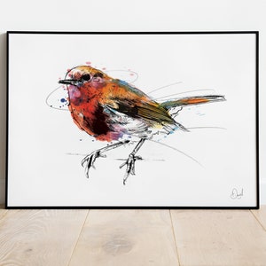 Robin Redbreast Print, Robin Illustration, Robin Drawing, Watercolour, Wildlife Art Print, Wildlife poster