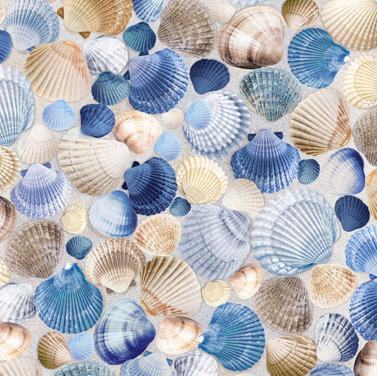 Packed Colorful Seashells Cotton Fabric by Studio E Fabric – Colorado  Creations Quilting