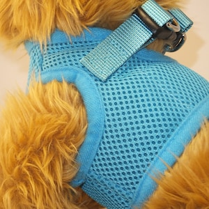 Pu&ograve; includere: Un'imbracatura per cani in rete blu con un cinturino regolabile blu e una fibbia nera. L'imbracatura &egrave; progettata per cani di piccola taglia.