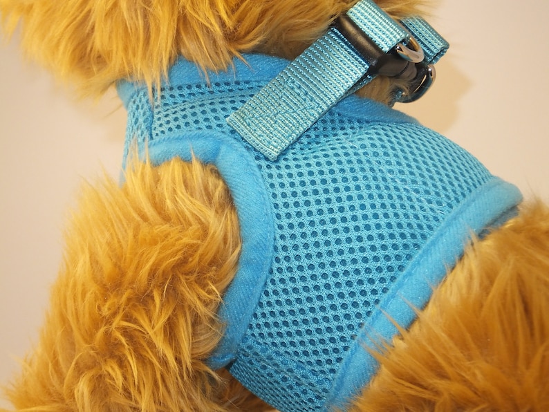 Pu&ograve; includere: Un'imbracatura per cani in rete blu con un cinturino regolabile blu e una fibbia nera. L'imbracatura &egrave; progettata per cani di piccola taglia.