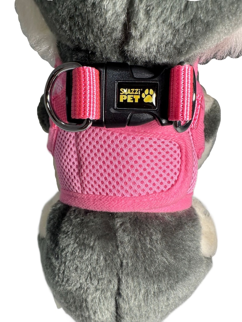 Pu&ograve; includere: Pettorina per cani in rete rosa con fibbia nera regolabile e un anello a D argentato. La pettorina ha le parole "Snazzi Pet" stampate sulla fibbia.