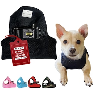 May include: Black mesh dog harness with a red label that reads "Teacup Smallest XS Dog Harness 9"-11.5" 2-4 lbs". A small, light brown chihuahua wearing the harness is looking at the camera. Five different colored harnesses are shown below the dog.