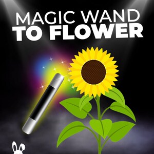 Magic Wand to Flower | Valentine's Day