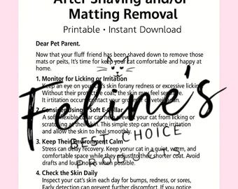 After-Care Instructions for Your Cat's Comfort.