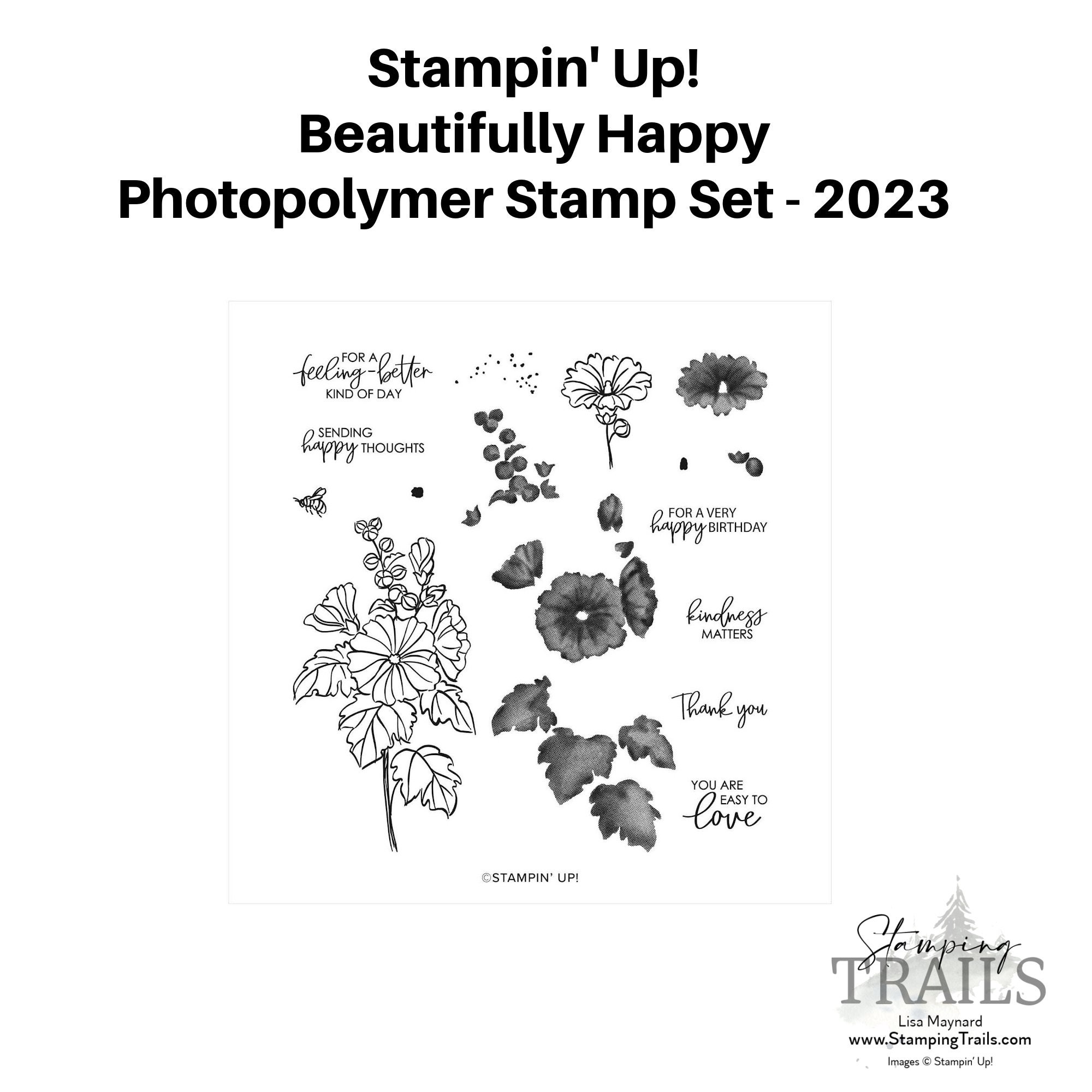 Stampin' Up RETIRED Stamp Sets 20222023 Etsy