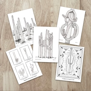 Conjunto de 5 tarjetas de notas Saguaro en gráficos en blanco y negro. Una colección de tarjetas "cotidianas" con preciosos dibujos del cactus del desierto de Sonora.