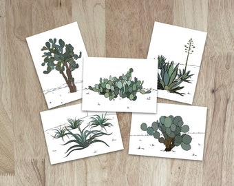 Set of 5 Sonoran Desert botanical note cards. "Everyday" cards featuring unique drawings of cacti and succulents in lovely greens and blues.