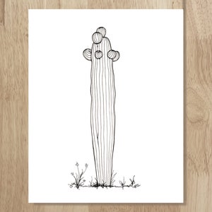 The Late Bloomer saguaro cactus, 8&quot;x10&quot; archival art print. Fun black and white art drawn from an actual Sonoran Desert cactus.