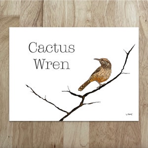 Carte élégante « Troglodyte des cactus » - cette carte « de tous les jours » est parfaite pour les ornithologues amateurs, les amoureux du désert ou toute personne qui a besoin d'une touche d'élégance simple.