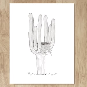 Raven es Nest Saguaro Kaktus 8 &quot;x 10&quot; Archivkunst Druck. Elegante Schwarz-Weiß-Kunst, die von einem tatsächlichen Sonora-Wüstenkaktus gezeichnet wurde.