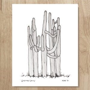 Saguaro Unity, 8&quot;x10&quot; archival art print. Elegant black and white art drawn from an actual group of Sonoran Desert cacti.