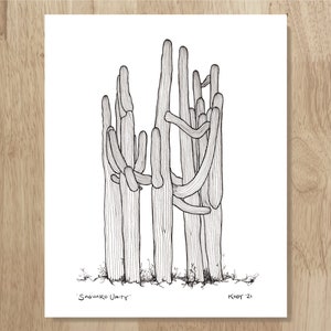 Saguaro Unity, 8"x10" archival art print. Elegant black and white art drawn from an actual group of Sonoran Desert cacti.