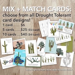 MIX + MATCH CARDS - escolha 1, escolha 5...ou 10! Selecione entre todos os designs de cartão. Crie seu próprio conjunto de cartões em branco, de ocasião e de feriado.