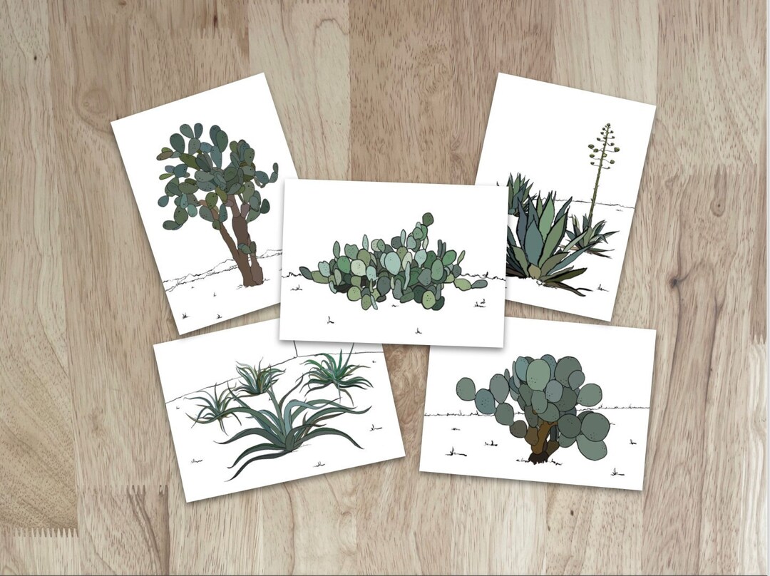 Sonoran Desert Botanical Note Cards. Box of 5. Cacti and Succulents in ...