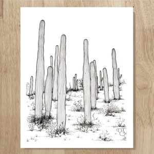 Saguaro Grove, 8&quot;x10&quot; archival art print. Elegant, black and white art drawn from an actual Sonoran Desert cactus group hug!