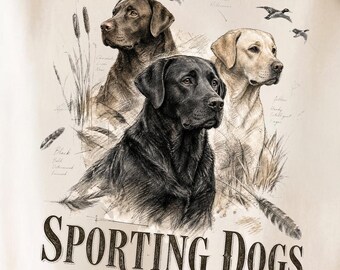 Sporting Dogs PNG, Vintage Sketch Trio | Chocolate Black Yellow Labrador | Hunting Sublimation