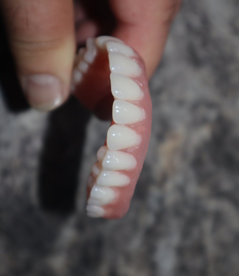 Upper Denture / Horseshoe Upper Dentures /the Denture is Real Etsy