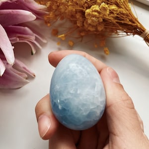 HANDCARVED CRYSTAL EGG | Blue Calcite Crystal Witches and Spiritual Practitioners Ostara Spring Equinox Gift Wicca Meditation Palm Stone Gem