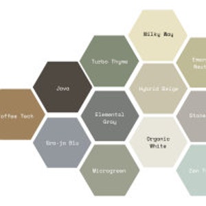 Farmhouse Paint &quot;Evolution&quot;  - Shab Bee designs