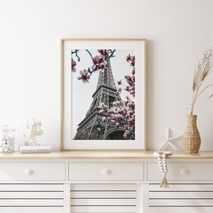 May include: A framed black and white photograph of the Eiffel Tower in Paris, France. The tower is surrounded by pink magnolia blossoms.