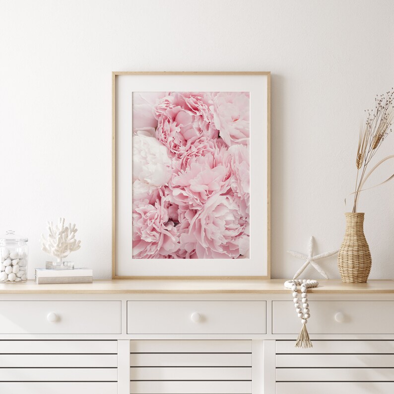 May include: A framed print of a close-up of pink peonies. The peonies are in full bloom and have a soft, delicate texture.