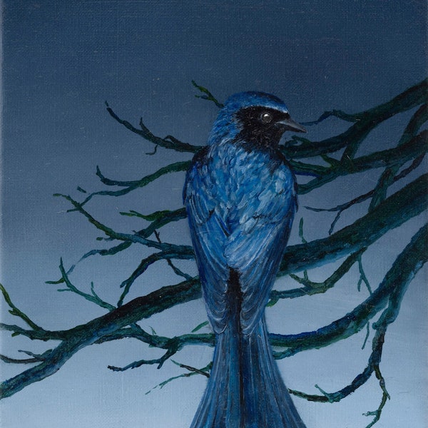 Dark-blue bird on branches and dusk heaven, original oil painting on canvas, 24 x 18 cm