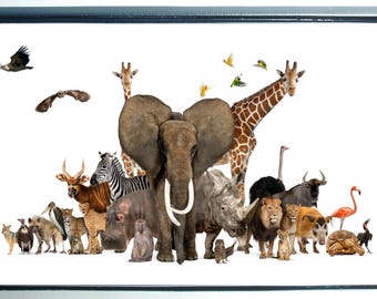 Pressed Penny Collector Book: A Family Portrait of Land Animals