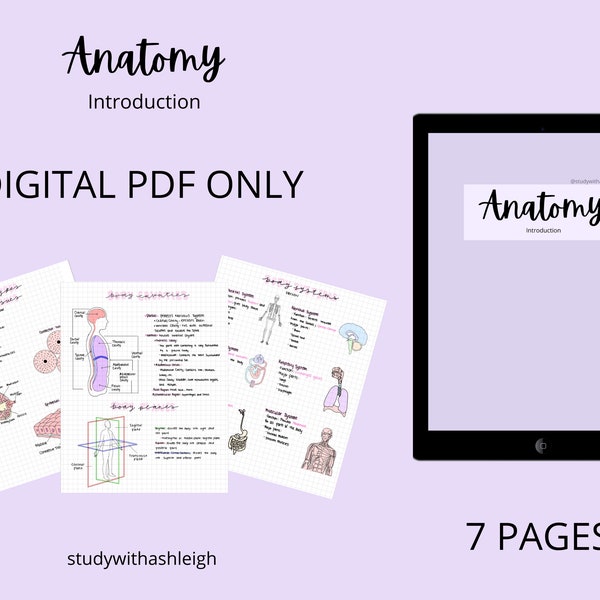 Introduction to Anatomy Notes | Body Systems | Body Planes | Homeostasis | Anatomy Study Guide Bundle