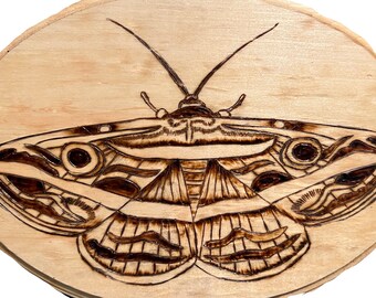 Handmade Moth Decor, Woodburning, Watercolor Wall Art, Bug Art, Woodworking, Nature Art, Gifts for Bug Lovers