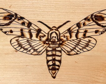 Handmade Death’s Head Hawk Moth Decor, Woodburning, Watercolor Wall Art, Bug Art, Woodworking, Nature Art, Gifts for Bug Lovers