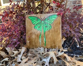 Handmade Luna Moth Decor, Woodburning, Watercolor Wall Art, Entomologist Gift, Bug Art, Woodworking, Nature Art, Gifts for Bug Lovers