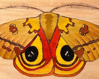 Handmade io Moth Decor, Woodburning, Watercolor Wall Art, Entomologist Gift, Bug Art, Woodworking, Nature Art, Gifts for Bug Lovers