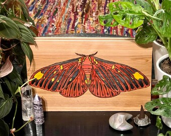 Ręcznie wypalana Citheronia Regalis - Królewska Sztuka Motyli na Drewnie Topolowym - Niestandardowa Dekoracja Ścienna Z Pirografią