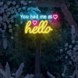 You Had Me at Hello enseigne au néon romantique LED décoration murale mariage personnalisé néon esthétique signe d'amour pour chambre cadeau d'anniversaire