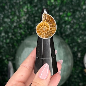 May include: A black, geometric obelisk with a polished, spiral-shaped fossil on top. The fossil is a warm, golden-brown color, and the obelisk is held in a hand against a backdrop of green foliage and decorative spheres.
