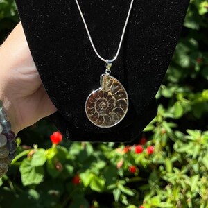 May include: A silver chain necklace with a large ammonite fossil pendant. The pendant is a natural brown color with a spiral pattern.