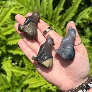 May include: Three small, carved stone wolf figurines in shades of gray and brown are held in a hand. The background is a lush green fern. The figurines are detailed, with visible ears and tails. The hand also has rings and bracelets.
