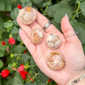 May include: A hand holding five polished, round gemstones. The stones are primarily beige and brown with unique patterns. The background features green foliage and red flowers.