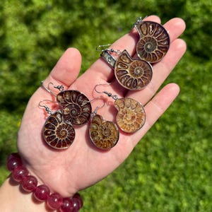 May include: Three pairs of silver ammonite earrings. Each pair features a different size and color of ammonite fossil.