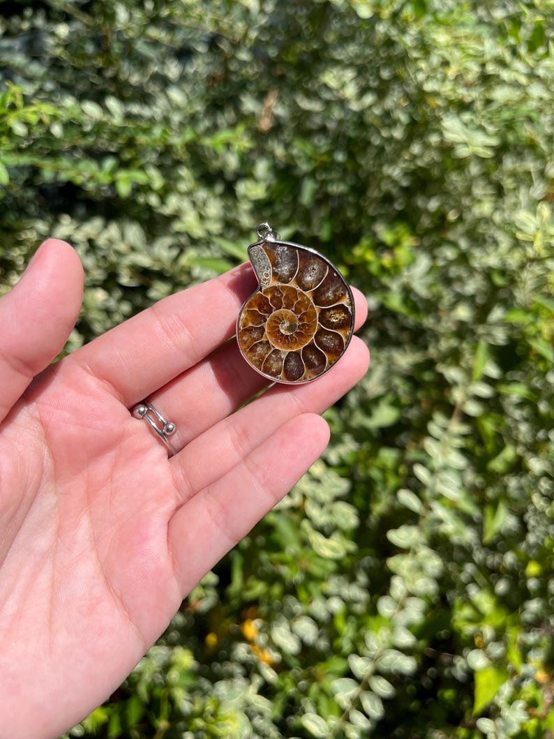 May include: A silver pendant featuring a fossilized ammonite with a brown and cream color scheme. The ammonite is a spiral shape with intricate details.