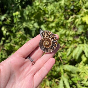 May include: A brown and gold ammonite fossil pendant with a silver bail. The pendant is held in a hand against a green leafy background.