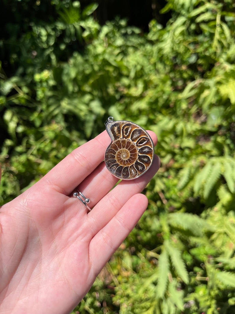 May include: A brown and gold ammonite fossil pendant with a silver bail. The pendant is held in a hand against a green leafy background.