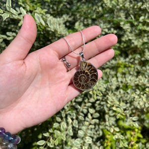 May include: A silver chain necklace with a brown and gold ammonite pendant. The pendant is a fossilized shell with a spiral pattern.