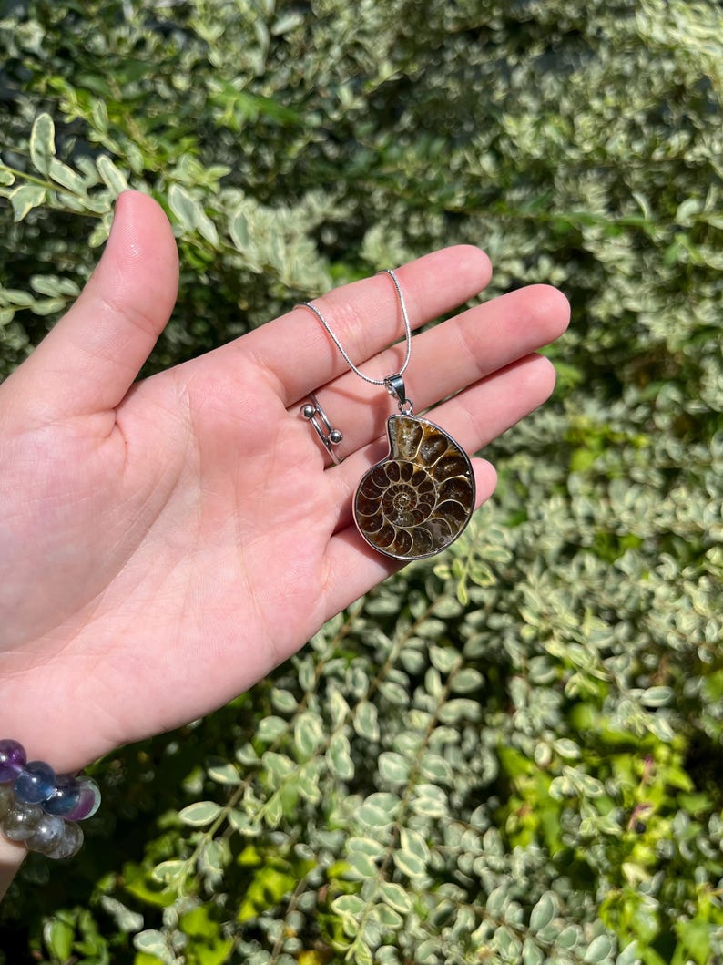 May include: A silver chain necklace with a brown and gold ammonite pendant. The pendant is a fossilized shell with a spiral pattern.