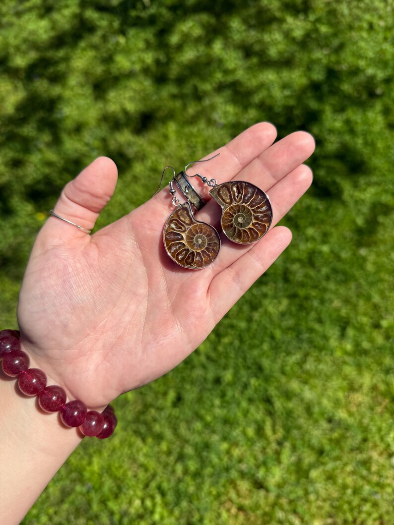 May include: A pair of silver earrings with brown and gold ammonite fossil pendants. The earrings are hanging from a silver hook.