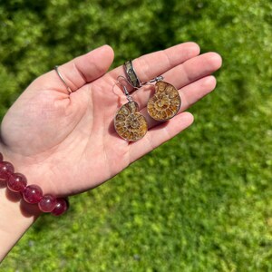 May include: A pair of silver earrings with fossilized ammonite shell inlays. The ammonites are a light brown color with a spiral pattern.